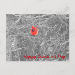 Valentijn Day Cardinals Briefkaart