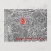 Valentijn Day Cardinals Briefkaart (Voorkant)