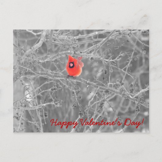 Valentijn Day Cardinals Briefkaart (Voorkant)