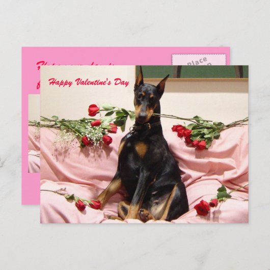 Valentijn Dobercard Feestdagenkaart (Voorkant / Achterkant)