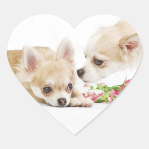 Valentijn Dog Stickers