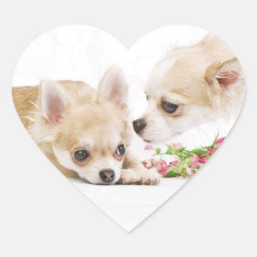 Valentijn Dog Stickers (Voorkant)