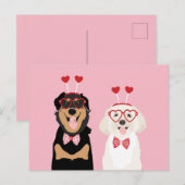 Valentijn Dogs Rottweiler Maltipoo Puppy Briefkaart (Voorkant / Achterkant)