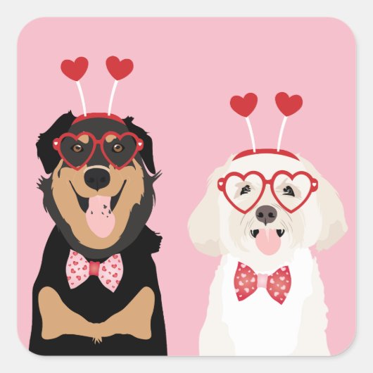 Valentijn Dogs Rottweiler Maltipoo Puppy Vierkante Sticker (Voorkant)