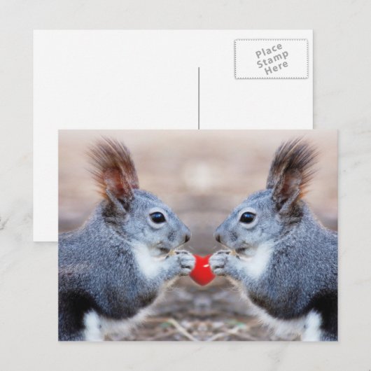 Valentijn eekhoorns Briefkaart (Voorkant / Achterkant)