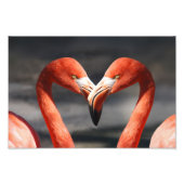 Valentijn Flamingo Foto Afdruk (Voorkant)