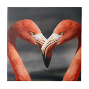 Valentijn Flamingo Tegeltje