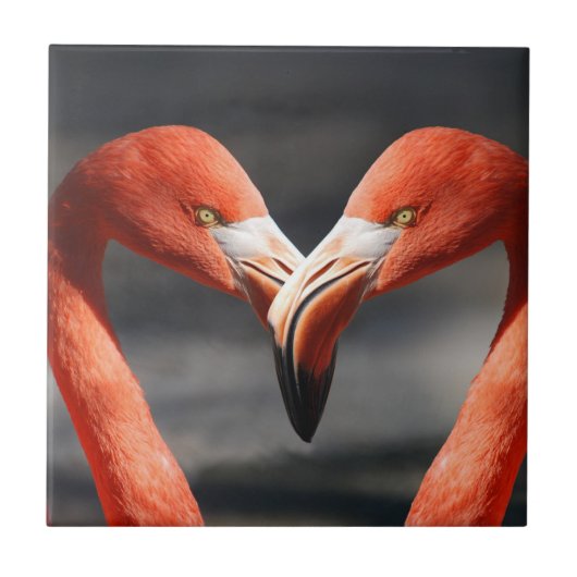 Valentijn Flamingo Tegeltje (Voorkant)