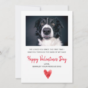 Valentijn foto van de hond feestdagenkaart