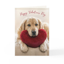 Valentijn Golden Retriever met Hartkussen