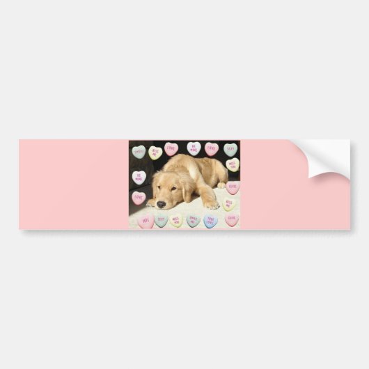 Valentijn Golden Retriever Puppy Bumpersticker (Voorkant)
