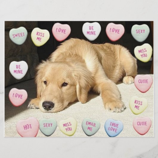 Valentijn Golden Retriever Puppy Flyer (Voorkant)