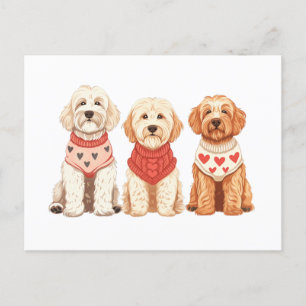 Valentijn Goldendoodle Dogs Briefkaart