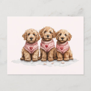 Valentijn Goldendoodle Dogs Briefkaart