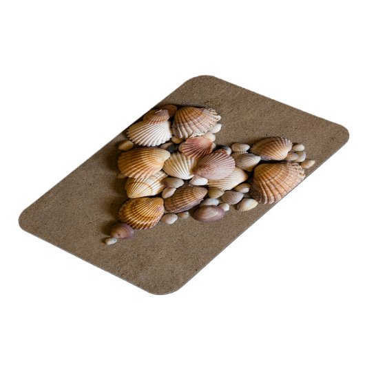 Valentijn hart gemaakt met schalen magneet (Linkerzijde)