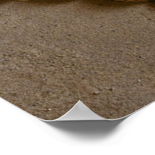 Valentijn hart gemaakt met schalen poster (Hoek)