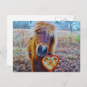 Valentijn hartpaard feestdagenkaart (Voorkant / Achterkant)