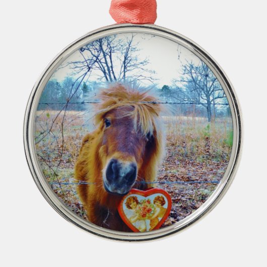 Valentijn hartpaard metalen ornament (Voorkant)