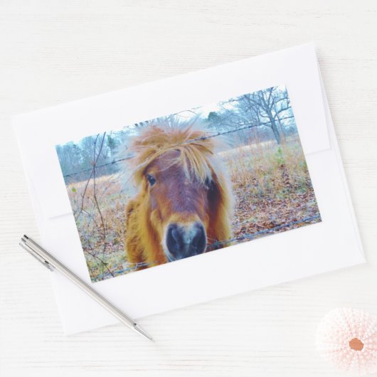 Valentijn hartpaard rechthoekige sticker (Envelop)