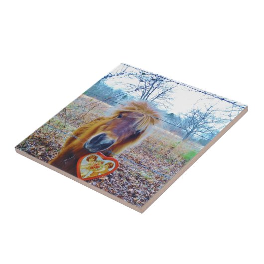 Valentijn hartpaard tegeltje (Zijkant)