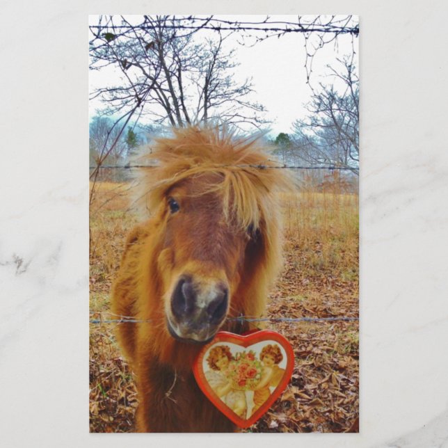 Valentijn Heart Miniatuur brown Horse (Voorkant)