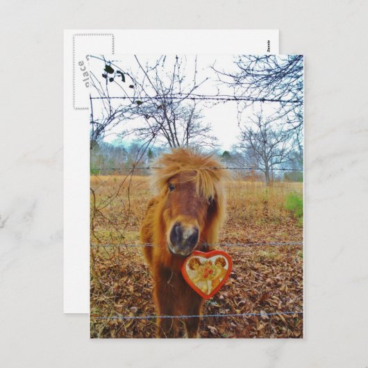 Valentijn Heart Miniatuur brown Horse Feestdagenkaart (Voorkant / Achterkant)