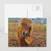 Valentijn Heart Miniatuur brown Horse Feestdagenkaart (Voorkant / Achterkant)