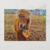 Valentijn Heart Miniatuur brown Horse Feestdagenkaart (Voorkant)
