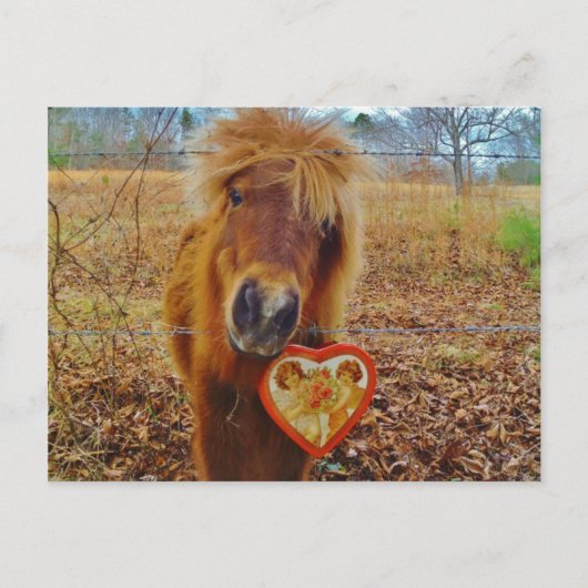 Valentijn Heart Miniatuur brown Horse Feestdagenkaart (Voorkant)