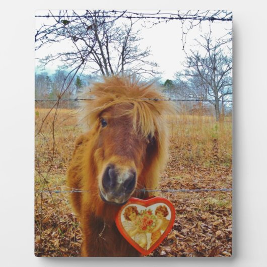 Valentijn Heart Miniatuur brown Horse Fotoplaat (Voorkant)