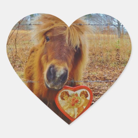 Valentijn Heart Miniatuur brown Horse Hart Sticker (Voorkant)