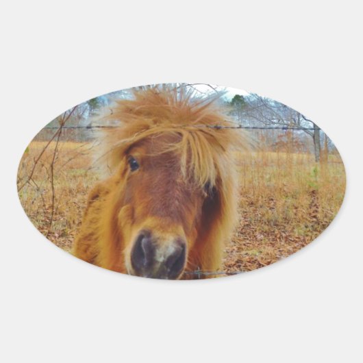 Valentijn Heart Miniatuur brown Horse Ovale Sticker (Voorkant)
