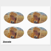 Valentijn Heart Miniatuur brown Horse Ovale Sticker (Vel)