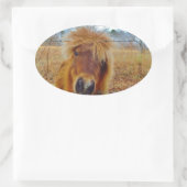 Valentijn Heart Miniatuur brown Horse Ovale Sticker (Tas)