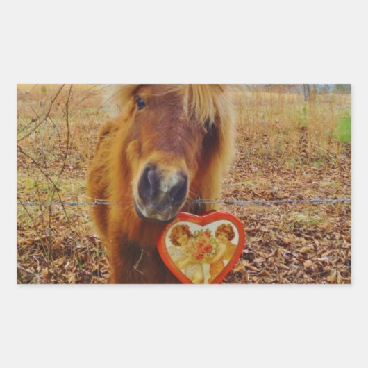 Valentijn Heart Miniatuur brown Horse Rechthoekige Sticker (Voorkant)