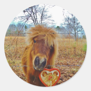 Valentijn Heart Miniatuur brown Horse Ronde Sticker
