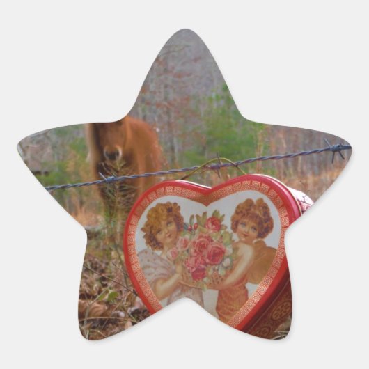Valentijn Heart Miniatuur brown Horse Ster Sticker (Voorkant)