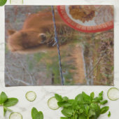 Valentijn Heart Miniatuur brown Horse Theedoek (Gevouwen)