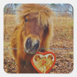Valentijn Heart Miniatuur brown Horse Vierkante Sticker