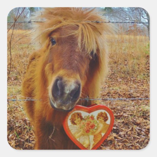 Valentijn Heart Miniatuur brown Horse Vierkante Sticker (Voorkant)