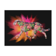 Valentijn Ierse Wolfshond splash van kleur