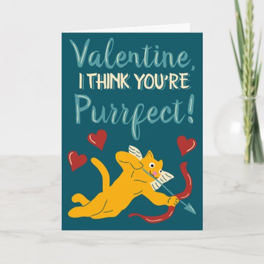 Valentijn Ik denk dat je perfecte kattenliefhebber Kaart (Voorkant)