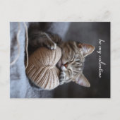 valentijn kat briefkaart (Voorkant)