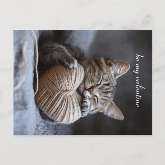 valentijn kat briefkaart (Voorkant)