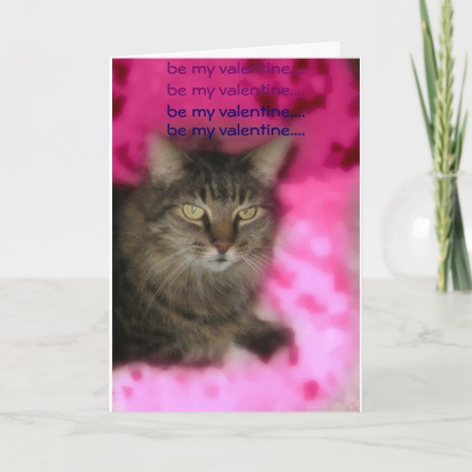 valentijn kat feestdagen kaart (Voorkant)