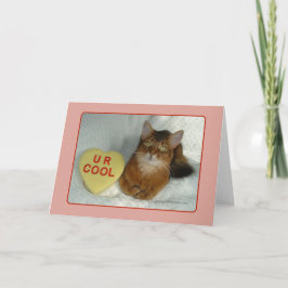 Valentijn Kat U R Cool Kaart