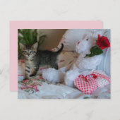 valentijn kitten briefkaart (Voorkant / Achterkant)