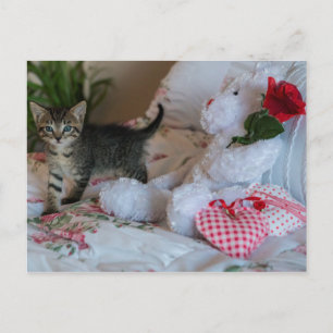 valentijn kitten briefkaart