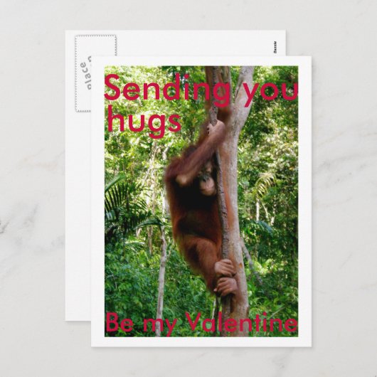 Valentijn knuffel briefkaart (Voorkant / Achterkant)