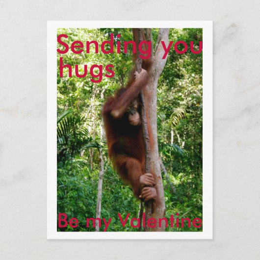 Valentijn knuffel briefkaart (Voorkant)